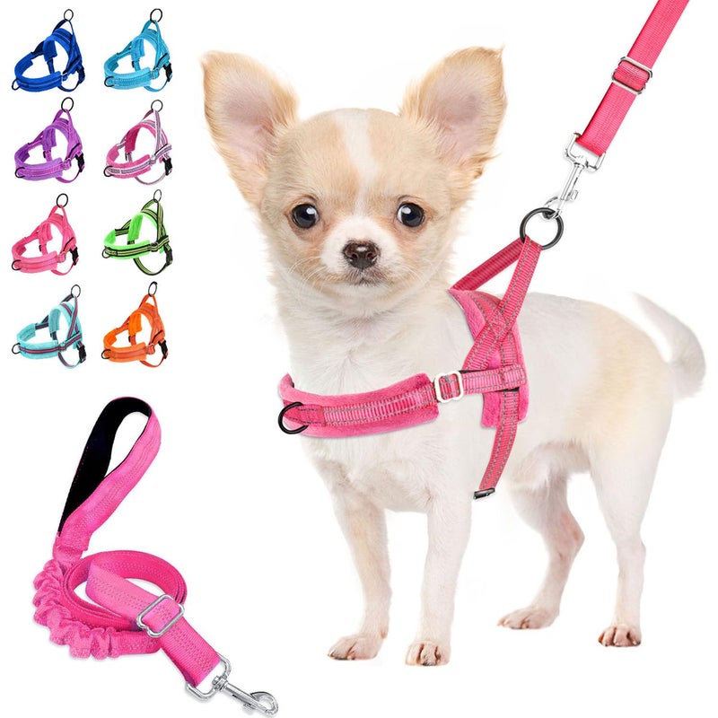 Lukovee No Pull Dog Harness and Leash Set, Soft Padded Small Dog Harness, Neck & Chest Adjustable Reflective Vest Puppy Harness with 4ft Lightweight Anti-Twist Dog Leash for Small Dogs (XS, Pink) - Image 1